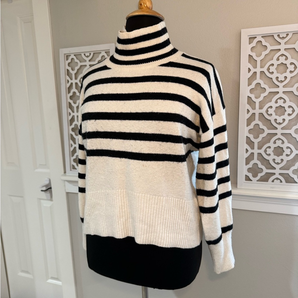 Striped Turtleneck Sweater - Black and White - Picture 3 of 10